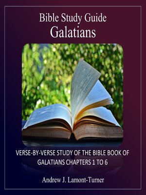 cover image of Bible Study Guide